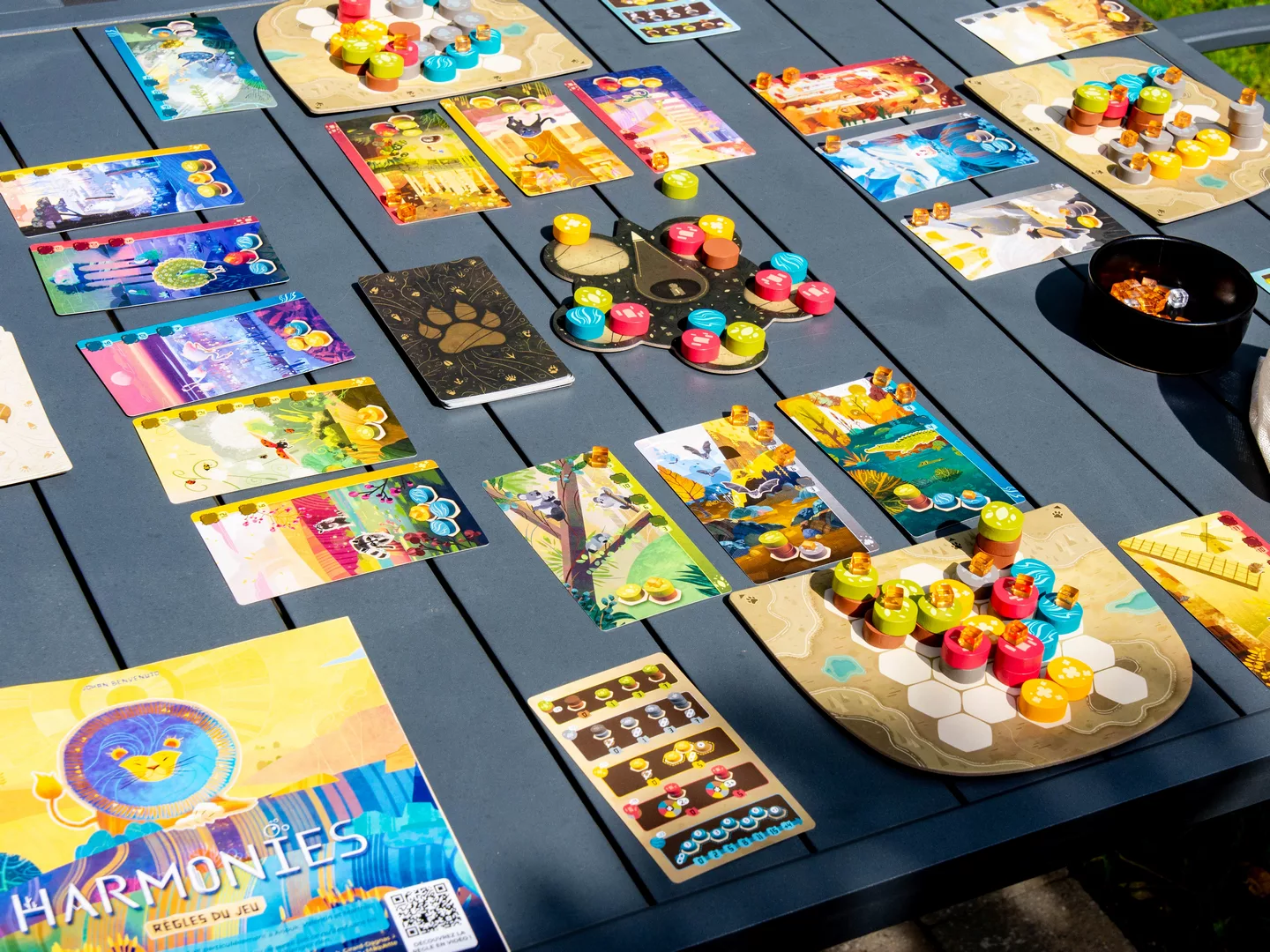 Test et avis sur le jeu Harmonies 05